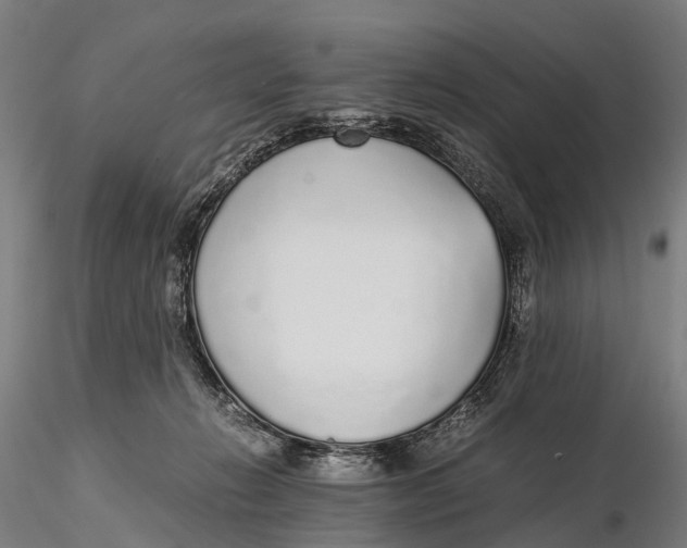 X0000115600270200912011533