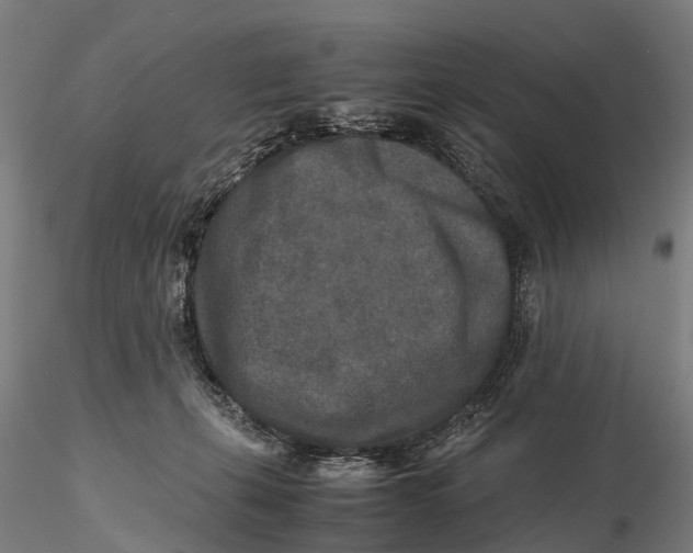 X0000115600271200912011533