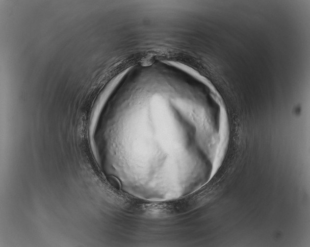 X0000115600273200912011533