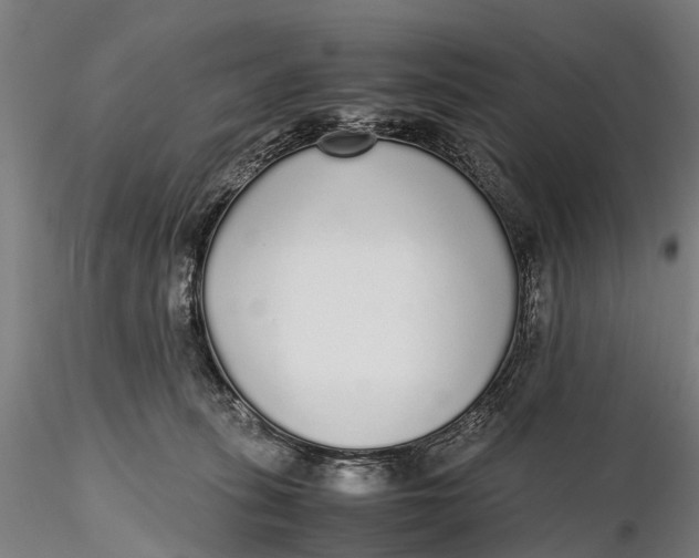 X0000115600275200912011533