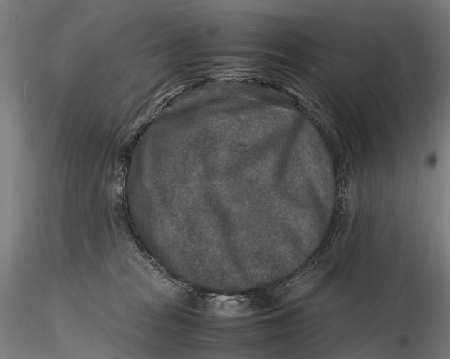 X0000115600277200912011533