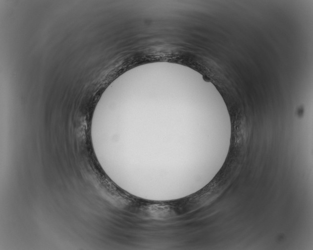 X0000115600279200912011533