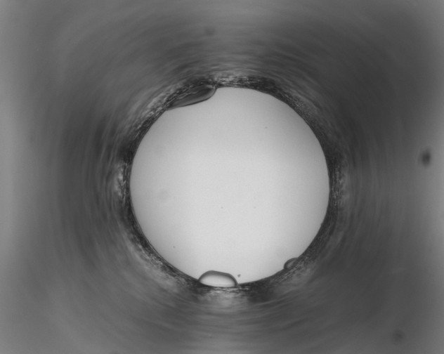 X0000115600280200912011533