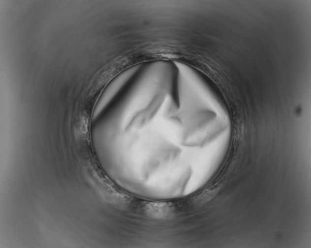 X0000115600281200912011533