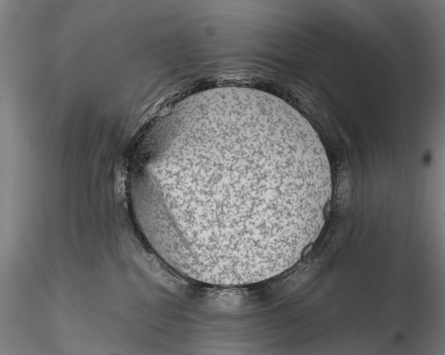 X0000115600282200912011534