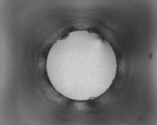 X0000115600283200912011534