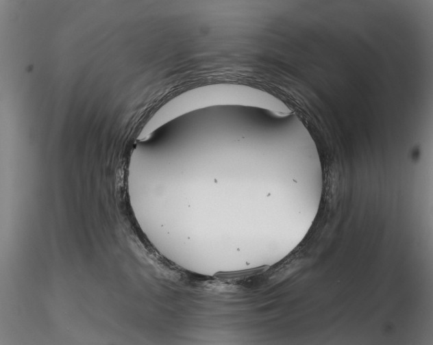 X0000115600284200912011534