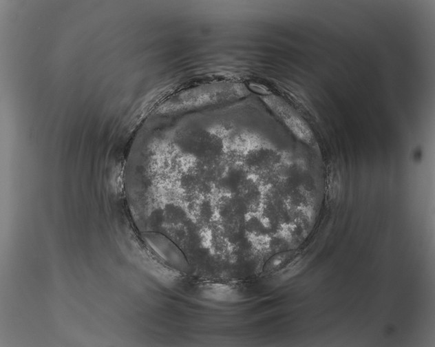 X0000115600285200912011534