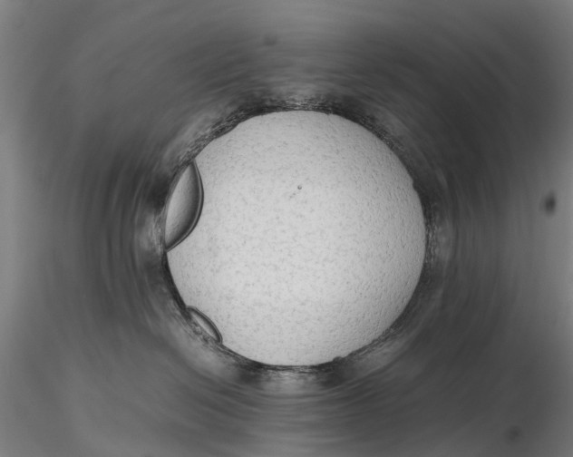 X0000115600286200912011534