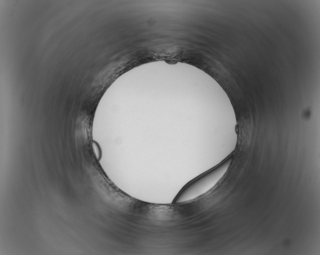 X0000115600287200912011534