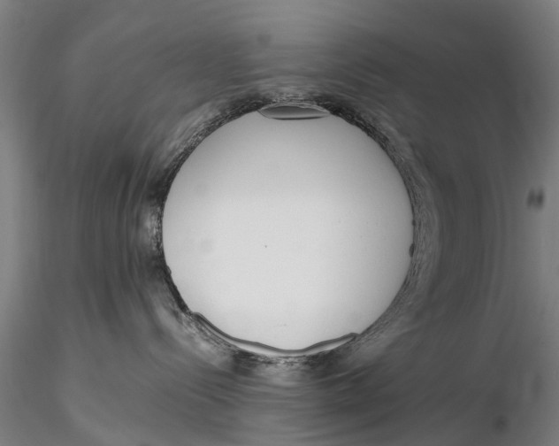 X0000115600288200912011534