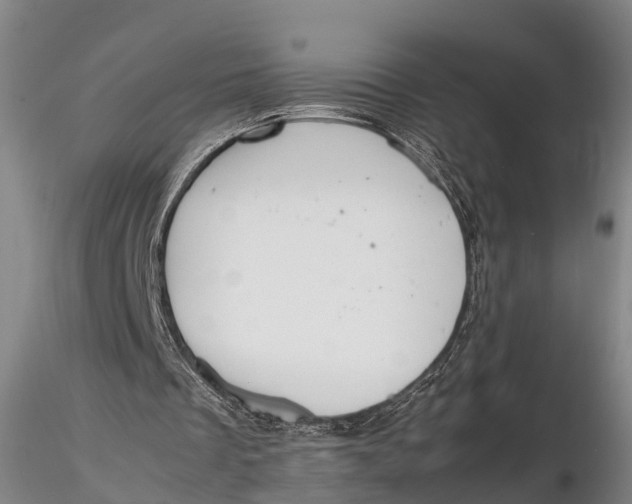 X0000115600289200912011533