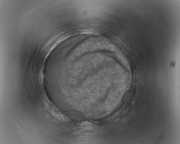 X0000115600290200912011533