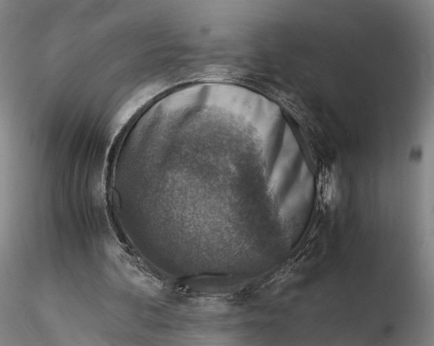 X0000115600292200912011533