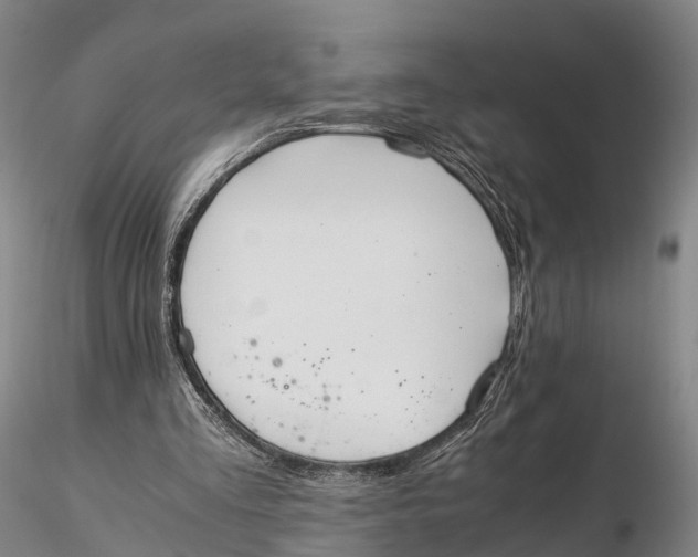 X0000115600293200912011533