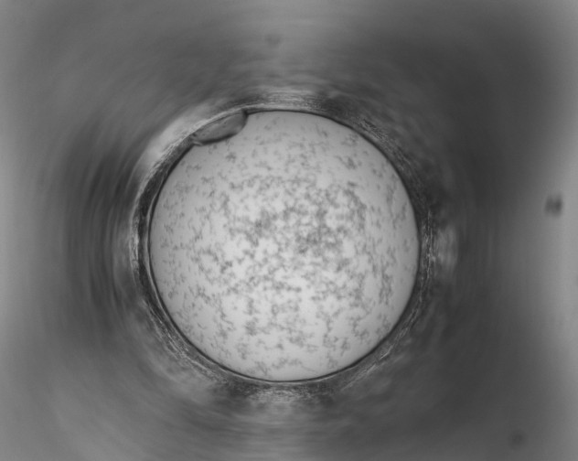 X0000115600294200912011533