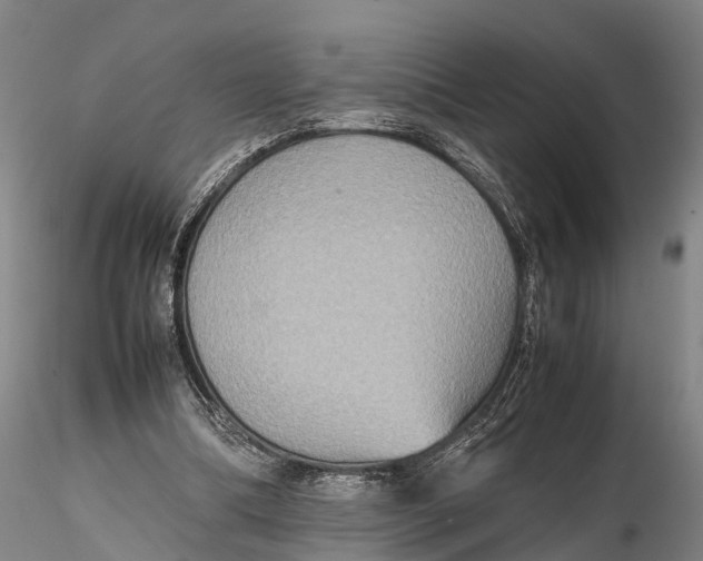 X0000115600298200912011533