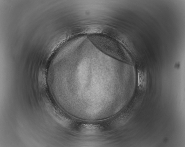 X0000115600300200912011533