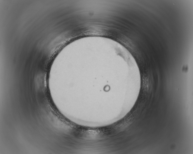 X0000115600302200912011533