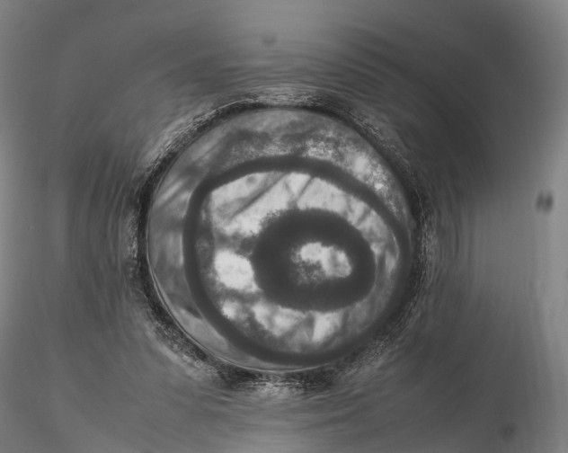 X0000115600303200912011533