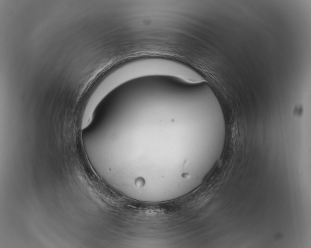 X0000115600304200912011533