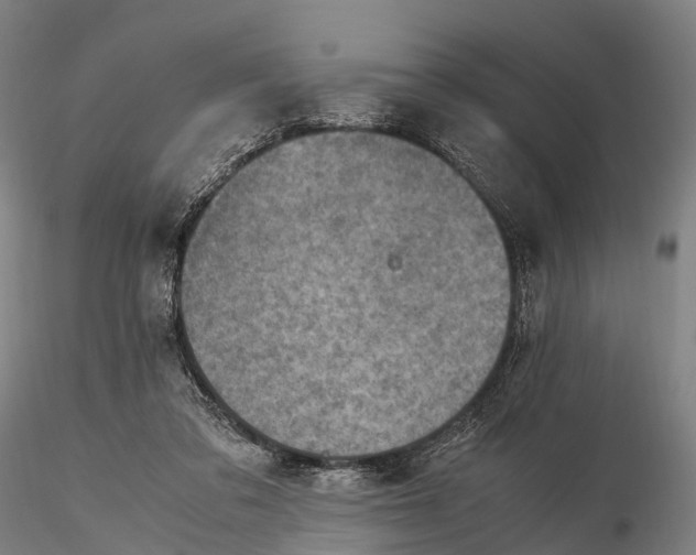 X0000115600309200912011533