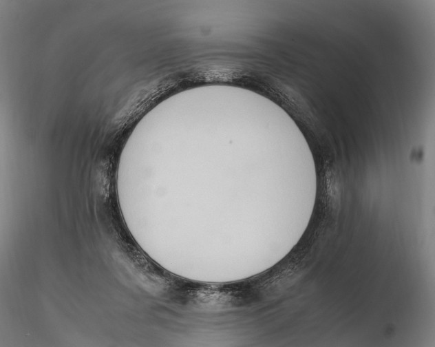 X0000115600311200912011533