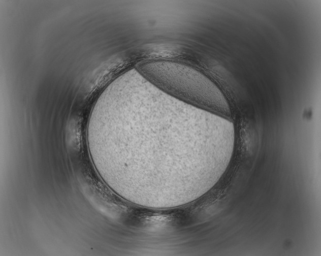 X0000115600312200912011533