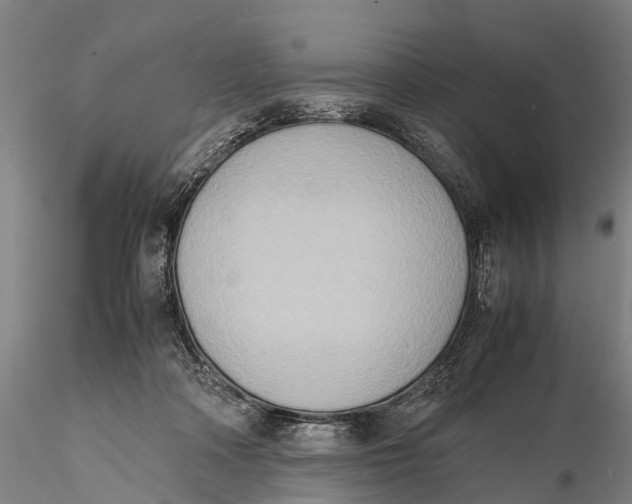 X0000115600314200912011533