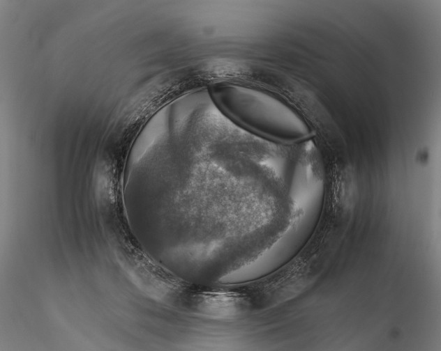 X0000115600316200912011533