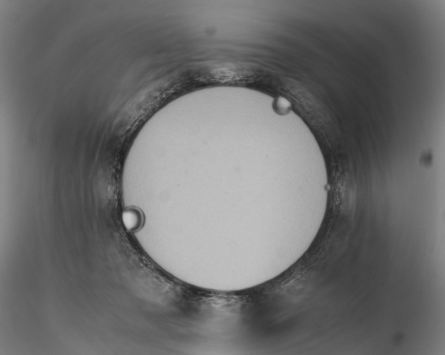 X0000115600317200912011533