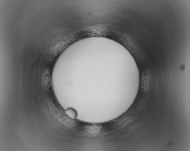 X0000115600318200912011533