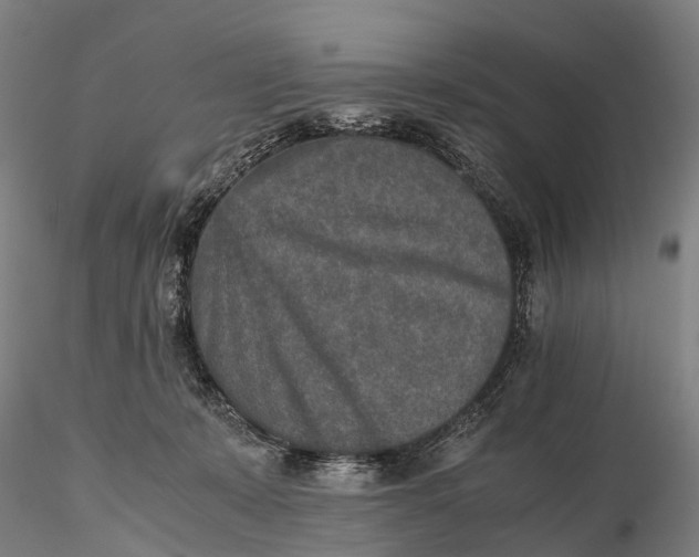 X0000115600319200912011533