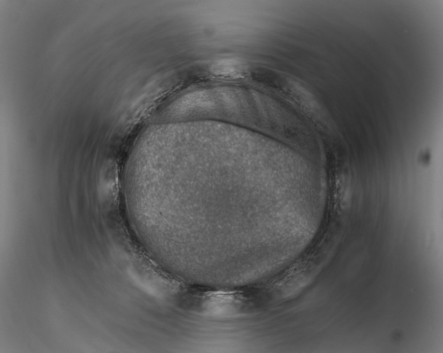 X0000115600320200912011532