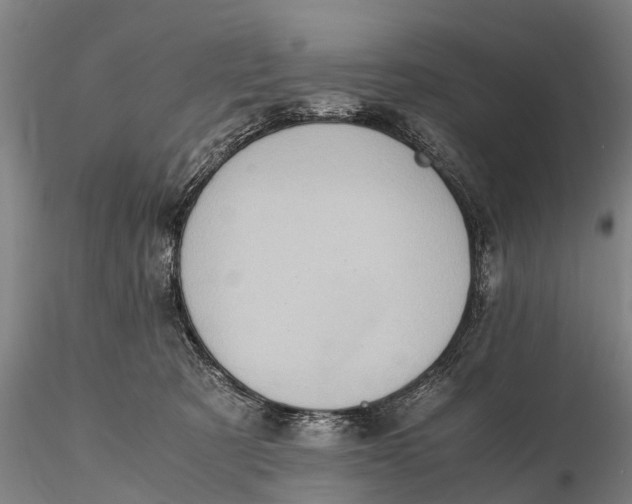 X0000115600321200912011532