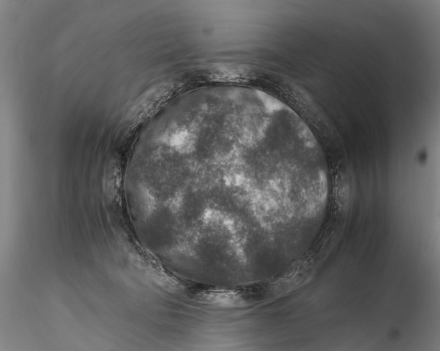 X0000115600322200912011532