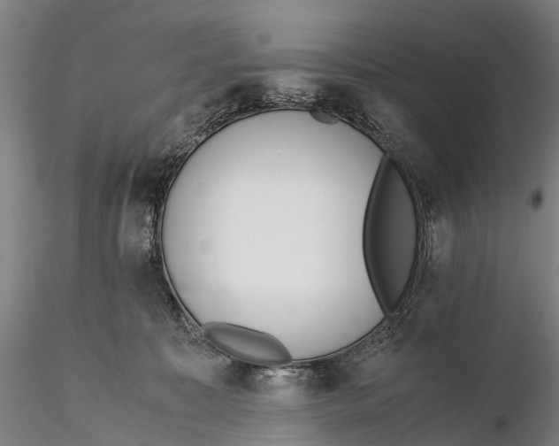 X0000115600323200912011532