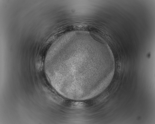 X0000115600324200912011532