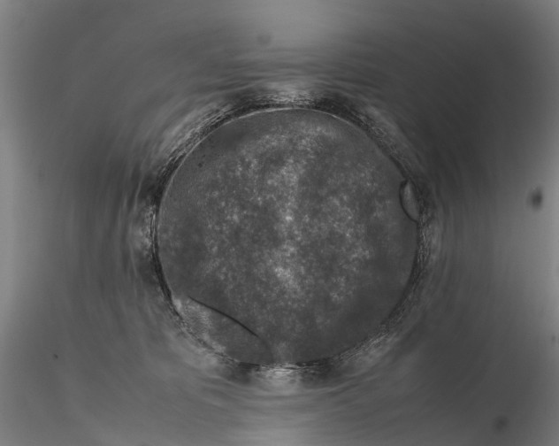 X0000115600325200912011532