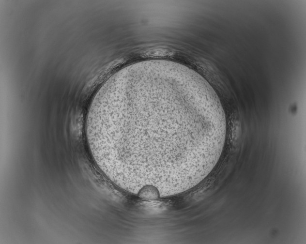 X0000115600326200912011532