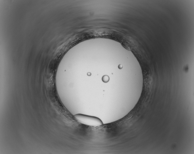 X0000115600327200912011532