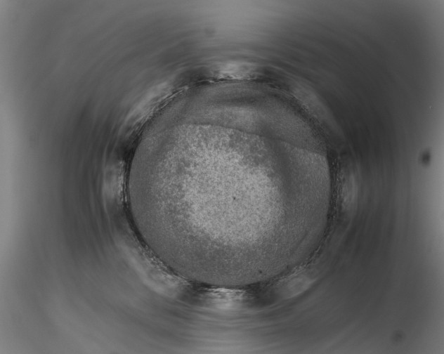 X0000115600328200912011532