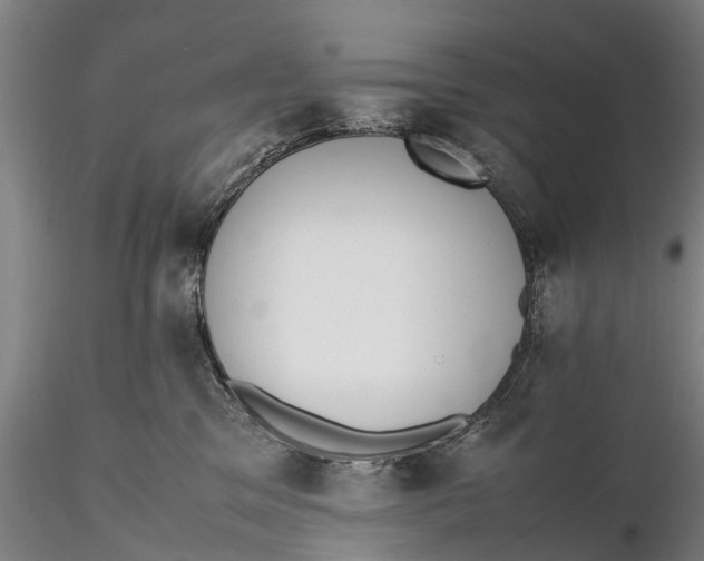 X0000115600329200912011532