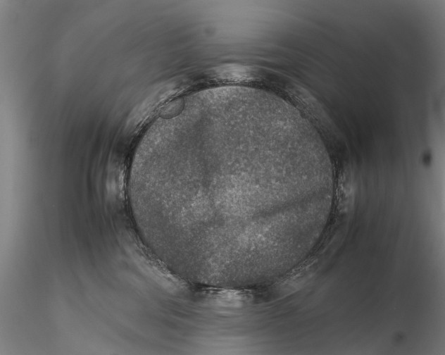 X0000115600330200912011532