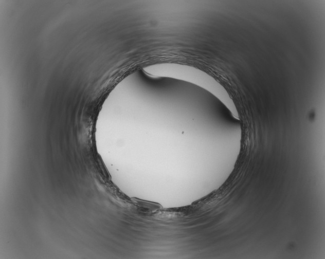 X0000115600332200912011532