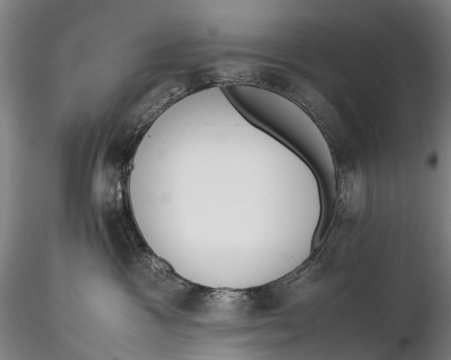 X0000115600333200912011532