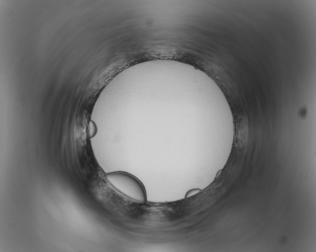 X0000115600334200912011532