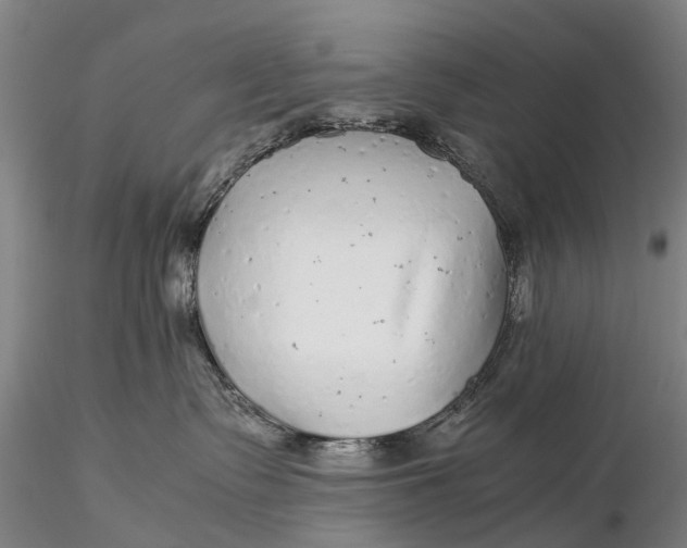 X0000115600335200912011532