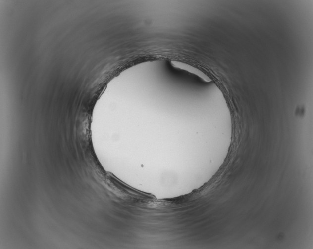 X0000115600336200912011532