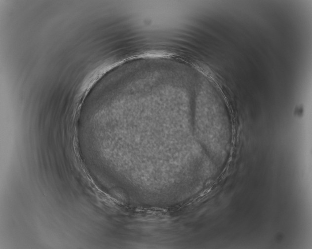 X0000115600337200912011531